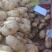 甘肃土豆精品226土豆黄皮黄心个头均衡量大从优