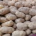 甘肃土豆精品226土豆黄皮黄心个头均衡量大从优