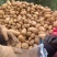甘肃土豆精品226土豆黄皮黄心个头均衡量大从优