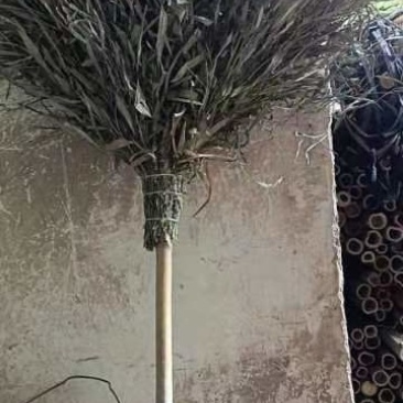 光丝竹扫把