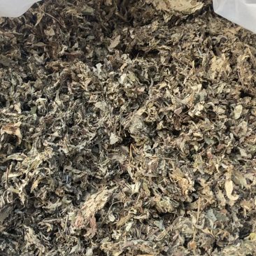 艾叶大艾叶4年以上的陈艾叶另经营其他药材可打粉