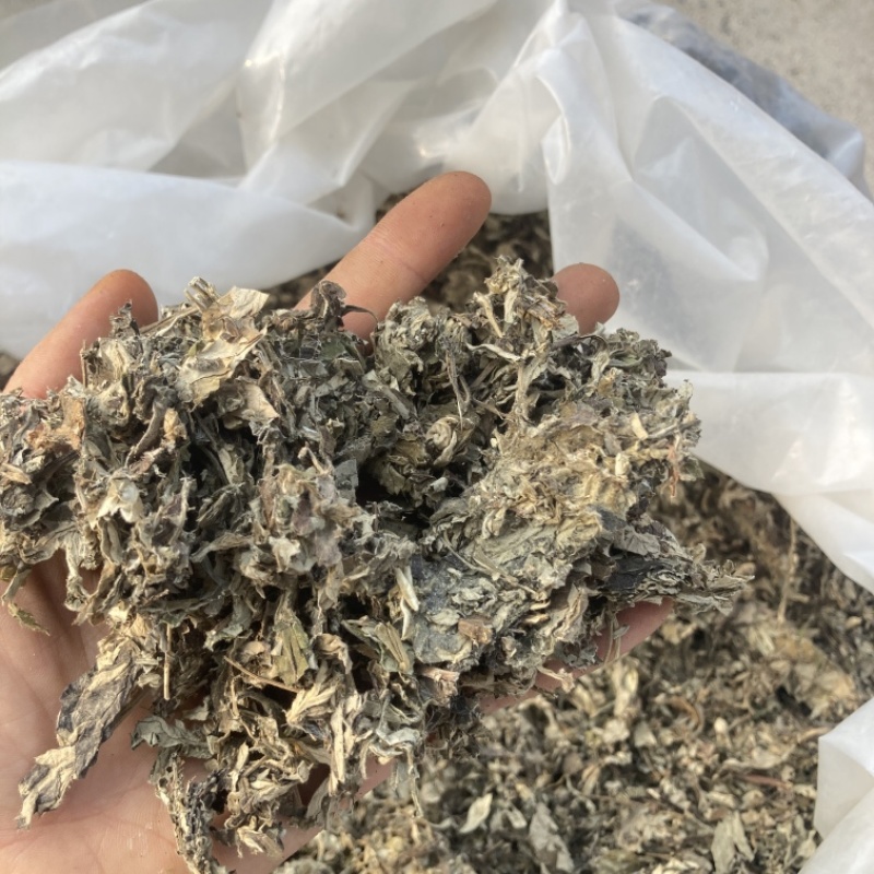 艾叶大艾叶4年以上的陈艾叶另经营其他药材可打粉