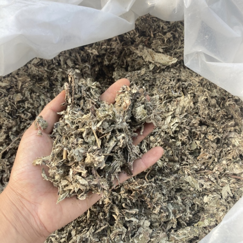 艾叶大艾叶4年以上的陈艾叶另经营其他药材可打粉