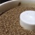 山东黄粉虫干品营养丰富多元蛋白品质保证基地直发多规格