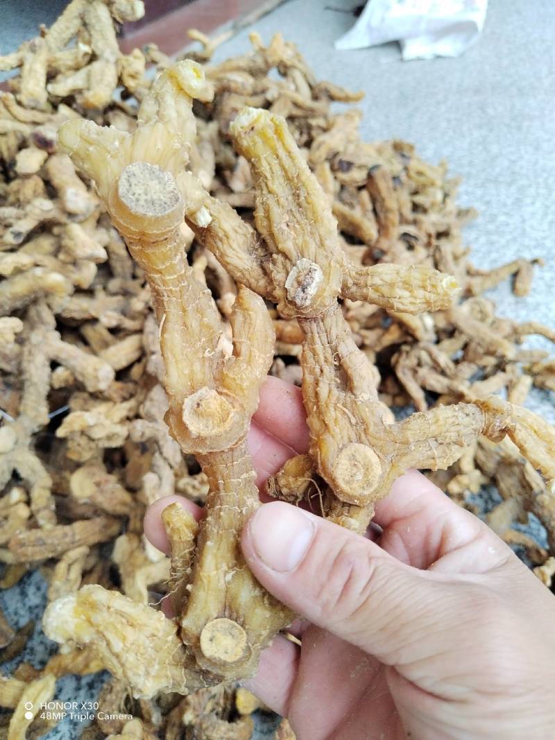 （包邮）《干货》野生多花姜形甜黄精，精品货质量保证