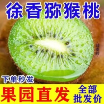徐香猕猴桃一件代发品质保证诚信经营猕猴桃基地
