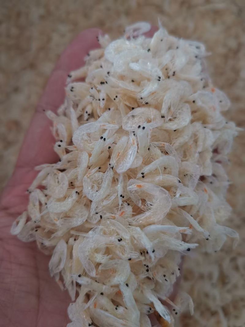 虾皮，白虾皮，淡干，全国诚招代理，可一件代发。