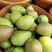 陕西冷库，酥梨精品红香酥梨产地一手货源实力代发全国