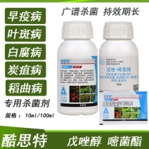 安道麦酷思特29%戊唑醇嘧菌酯悬浮剂番茄早疫病杀菌剂