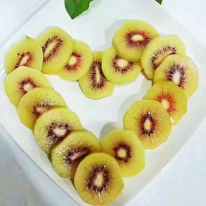 蒲江红心猕猴桃
