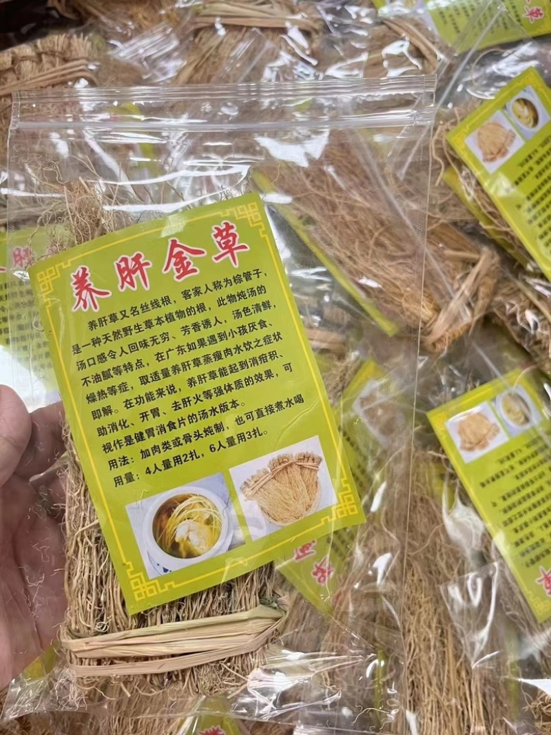 精选新货养肝草
