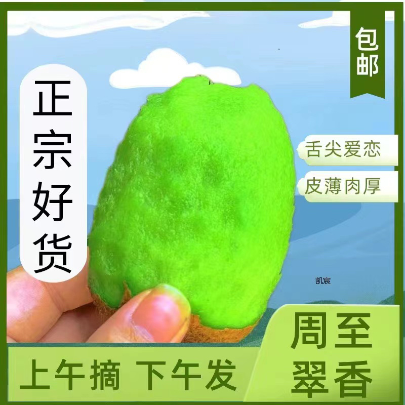 陕西周至翠香猕猴桃，一件代发团购落地配，可实地考察