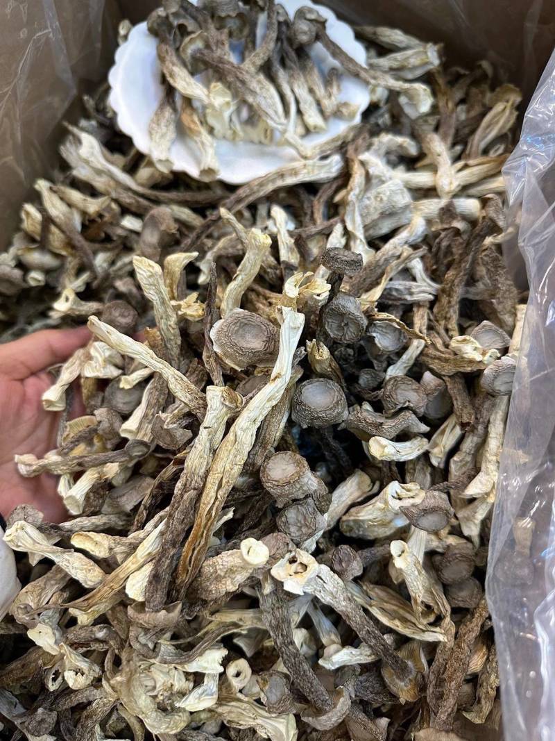 特级鹿茸菇足干大条规格齐全产地直供规格齐全香味浓郁