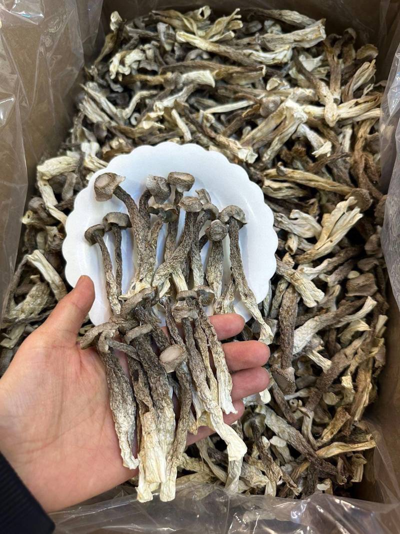 特级鹿茸菇足干大条规格齐全产地直供规格齐全香味浓郁