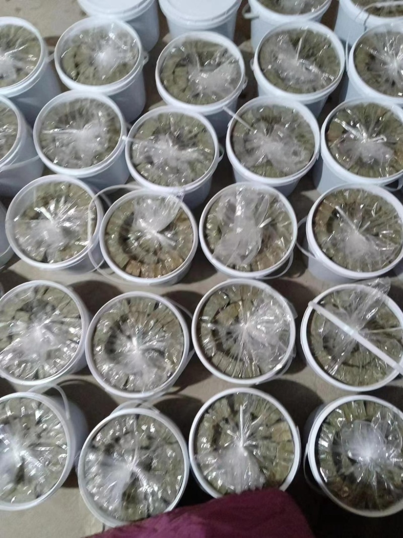 臭豆腐厂家直销，货源充足，价格优惠，欢迎各位前来选购