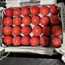 红柿灯柿