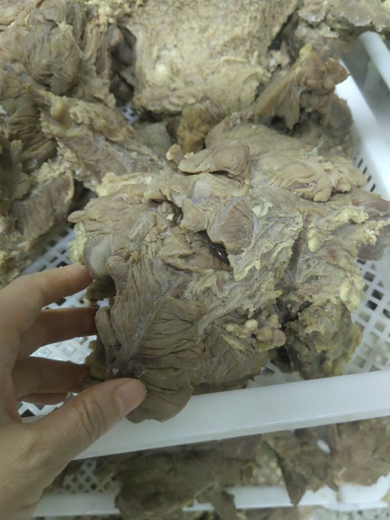 长期供应熟牛肉酱牛肉源头工酱牛肉开袋即食原味牛