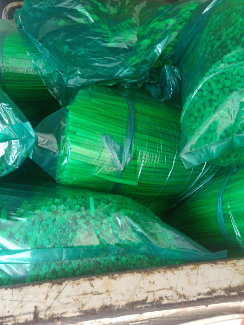 精品新鲜韭苔韭菜苔大量上货价格实惠欢迎联系