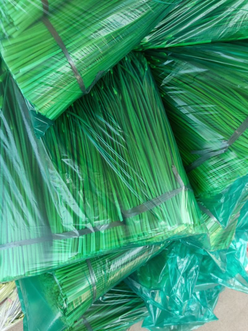 精品新鲜韭苔韭菜苔大量上货价格实惠欢迎联系