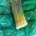 精品新鲜韭苔韭菜苔大量上货价格实惠欢迎联系