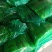 精品新鲜韭苔韭菜苔大量上货价格实惠欢迎联系