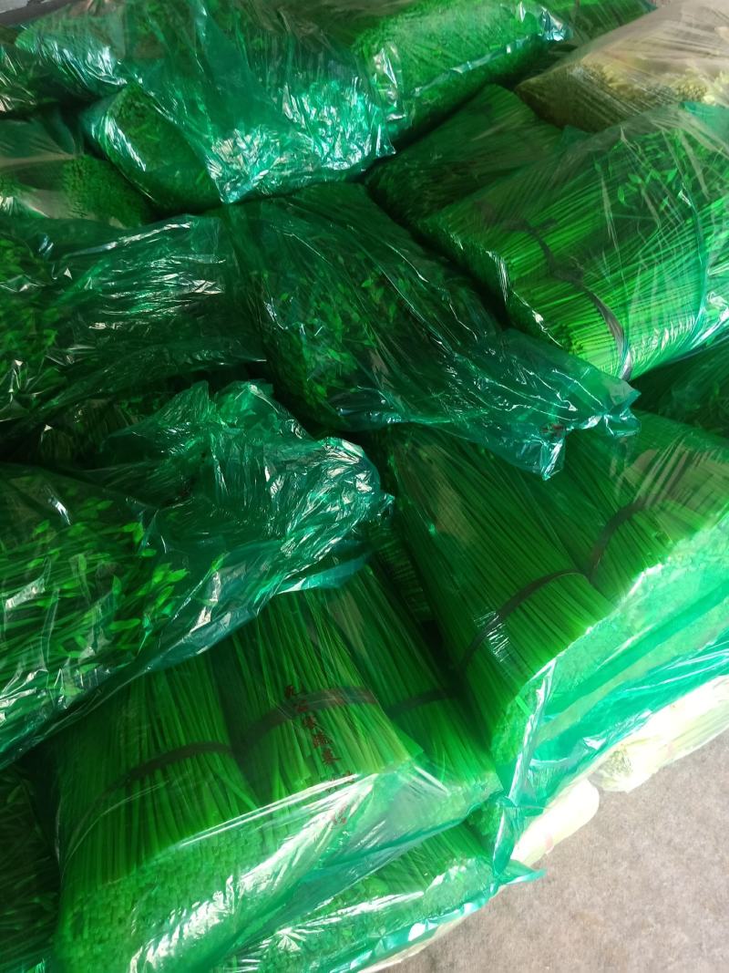 精品新鲜韭苔韭菜苔大量上货价格实惠欢迎联系