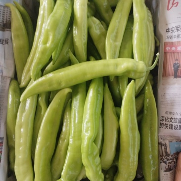 需要联系
