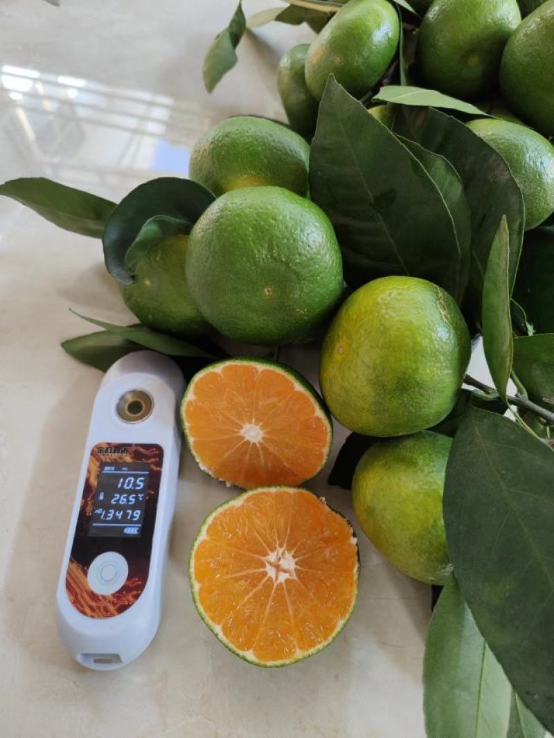 宜昌特早蜜橘皮薄汁多味甜无核无渣皮毛干净全国发货