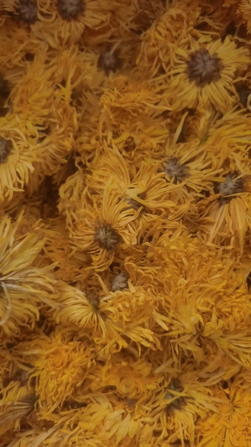所有菊花茶批发零售，产地批发价格