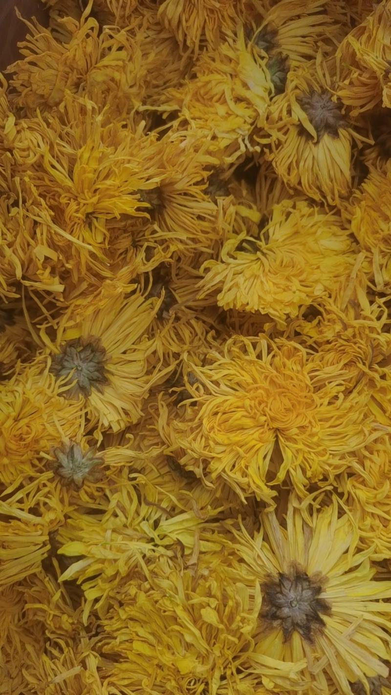 所有菊花茶批发零售，产地批发价格