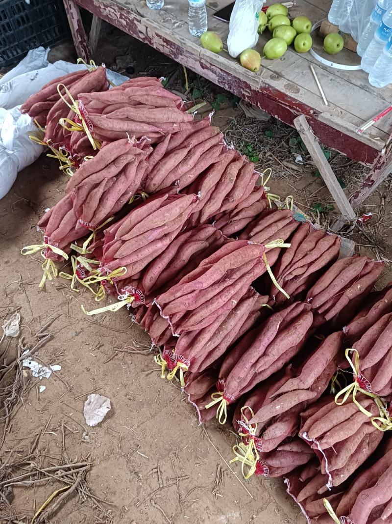 板栗红薯，