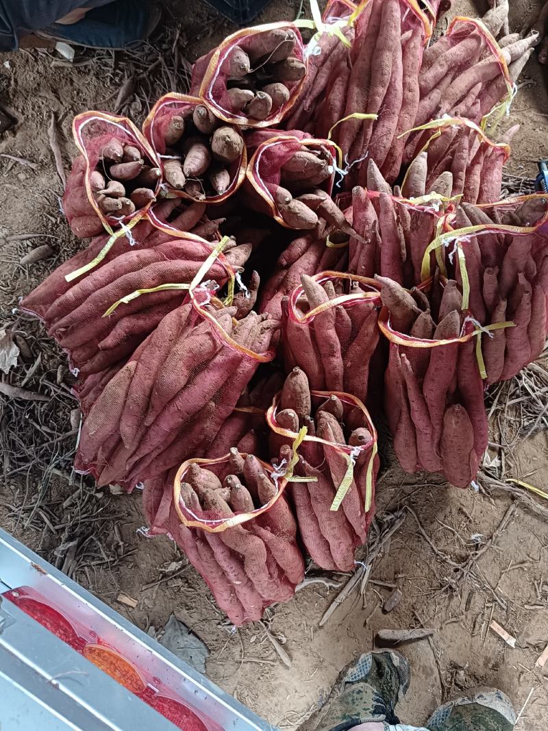 板栗红薯，