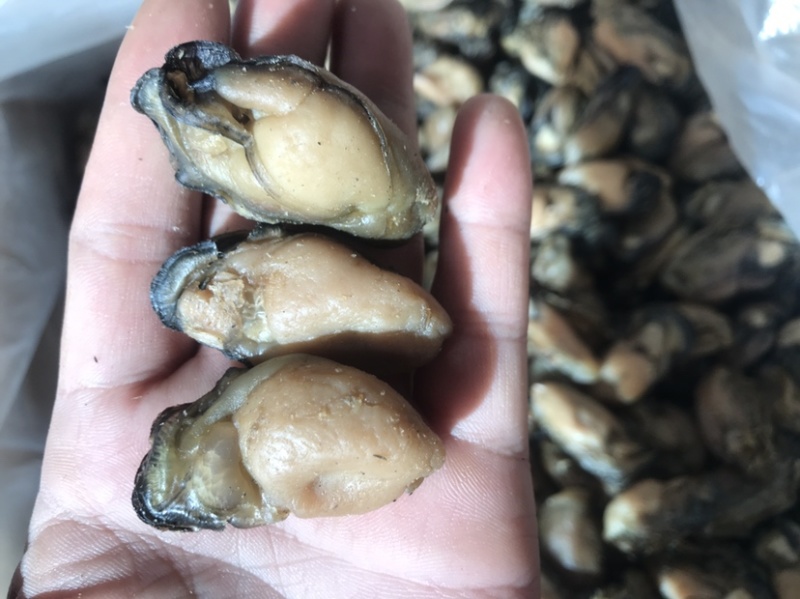 精品生蚝干大量上市产地直发规格齐全保质保量量大优惠