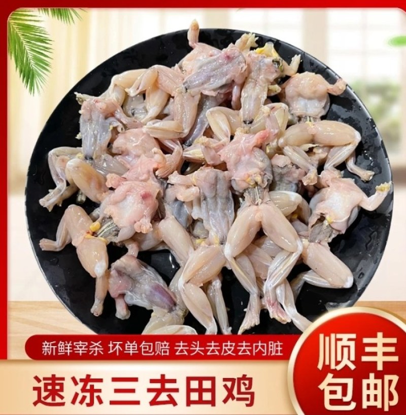 湖北稻田养殖青蛙肉，液氮锁鲜蛙肉非牛蛙，顺丰发货