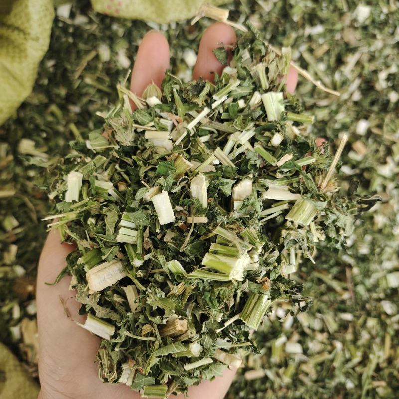 益母草，今年新货颜色青，无硫产地货源，产地直发，保质保量