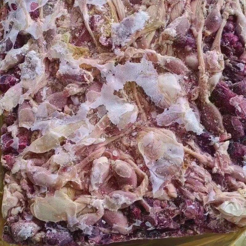 饲料腺胃