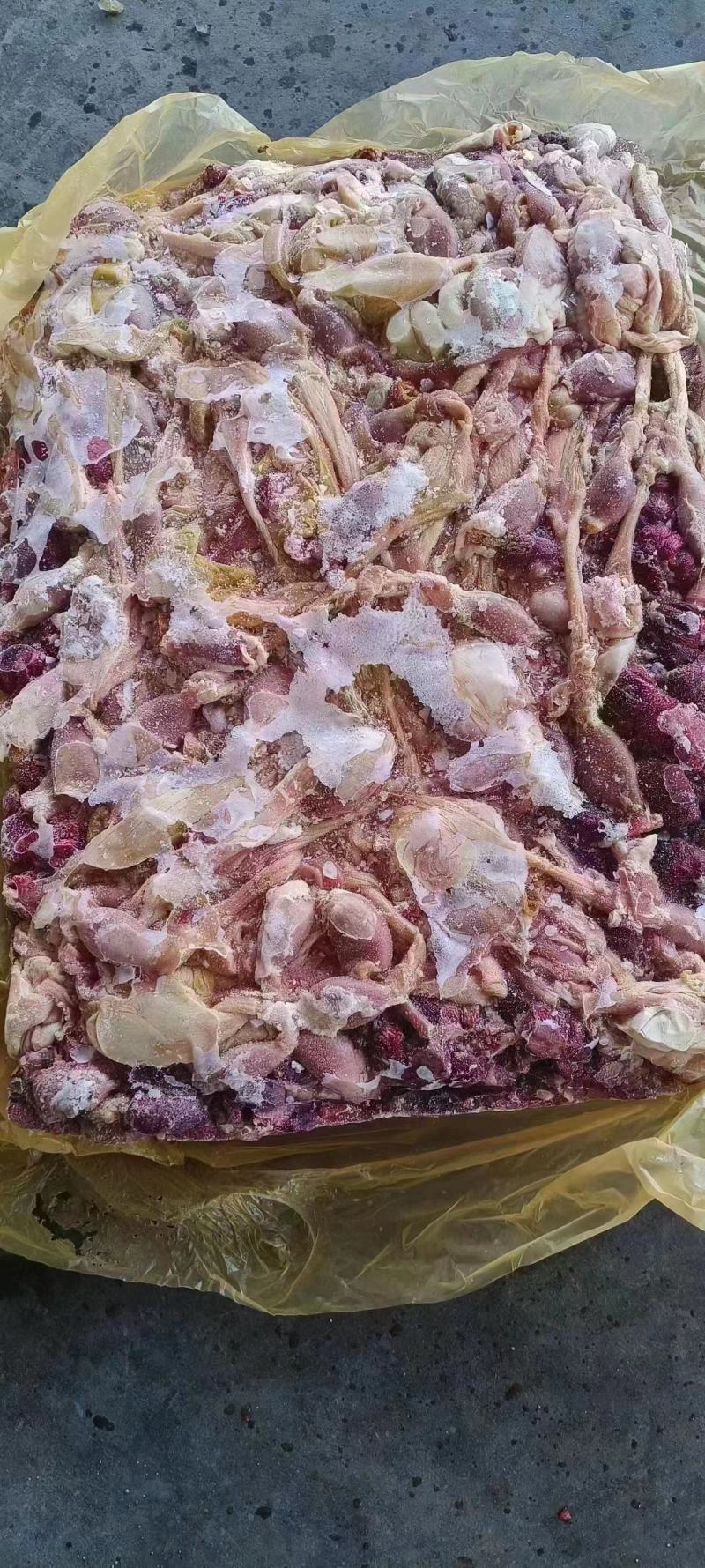 饲料腺胃