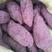 湖北红薯紫红薯货源充足质量基地现挖现发口感香甜软糯