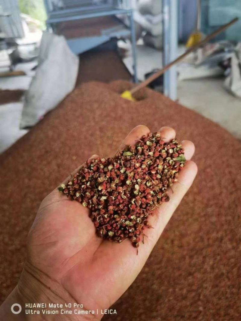 【牛商推荐】精品干红花椒无杂质大量供应