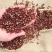【牛商推荐】精品干红花椒无杂质大量供应