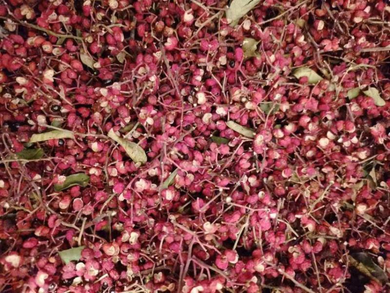 【牛商推荐】精品干红花椒无杂质大量供应