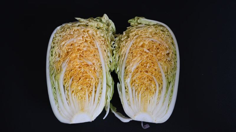 龙芽皇二号白菜种子橙红色叶柔叶多富胡萝卜素和番茄红素70