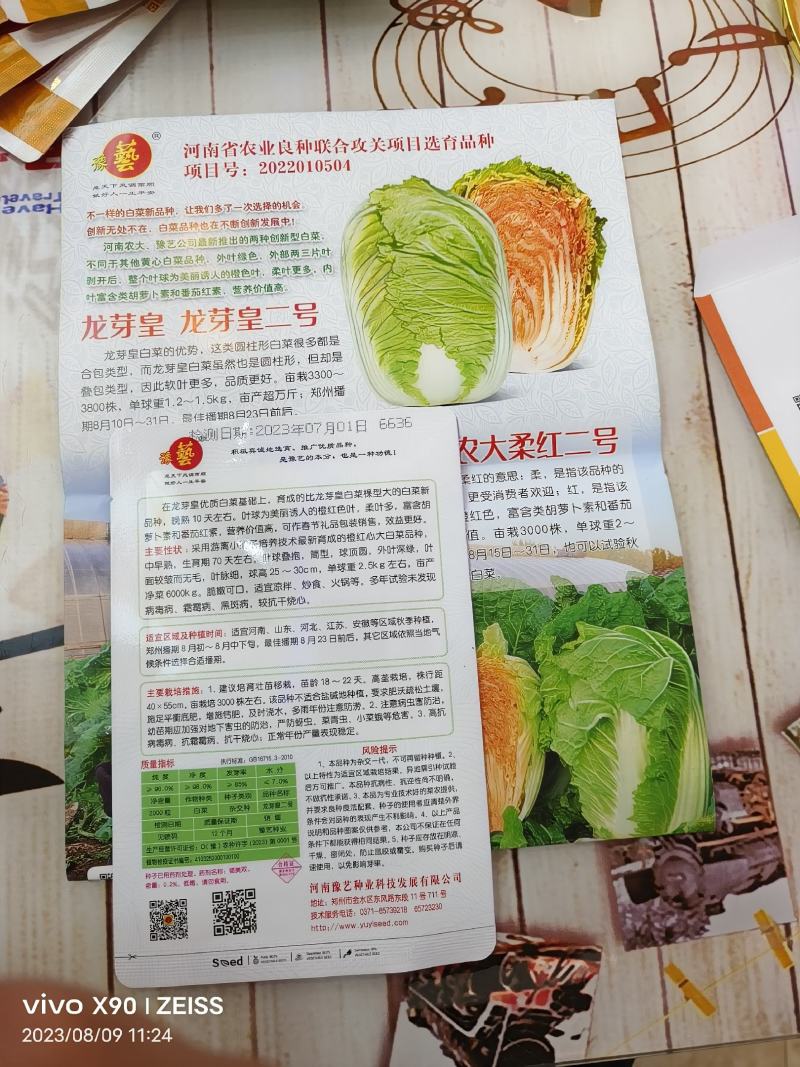龙芽皇二号白菜种子橙红色叶柔叶多富胡萝卜素和番茄红素70