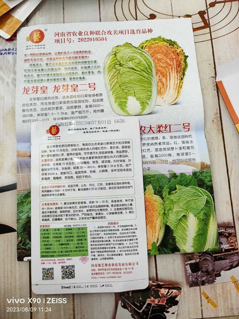 龙芽皇二号白菜种子橙红色叶柔叶多富胡萝卜素和番茄红素70