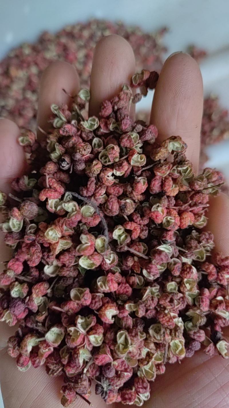 产地打粉色选过花椒价格实惠，产地直发，质优价廉