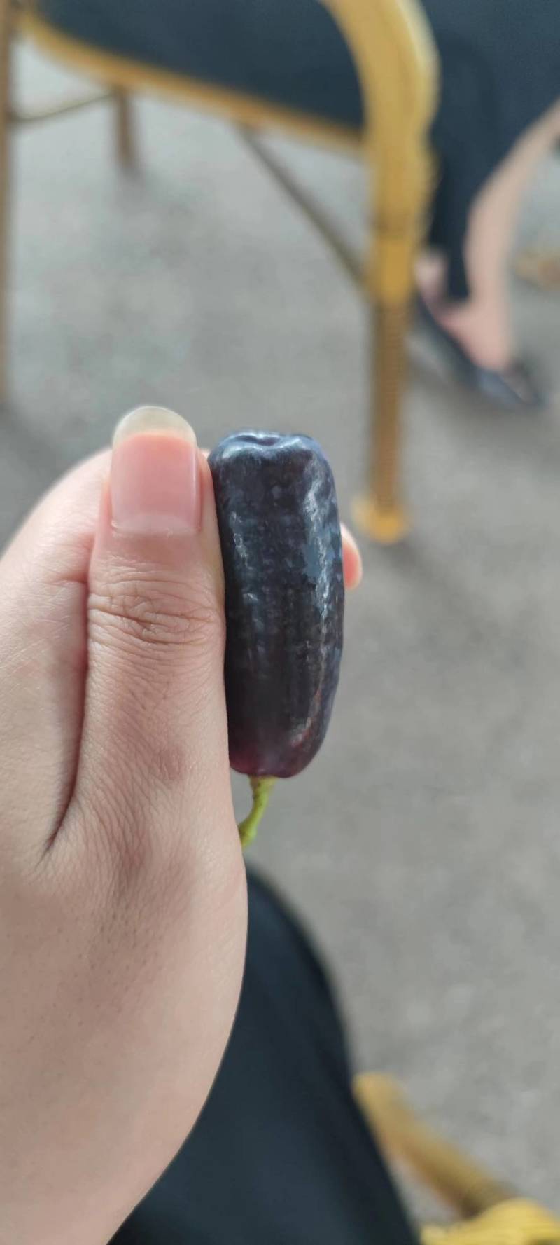 陕西渭南蓝宝石葡萄品质保证欢迎咨询合作量大从优