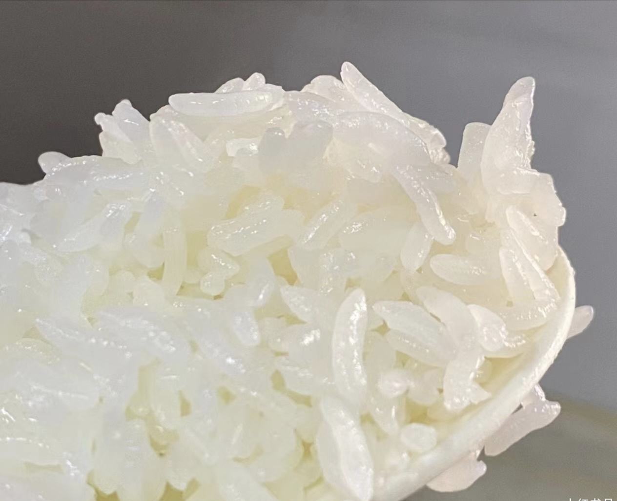 蒸煮好的新米长粒香大米特写