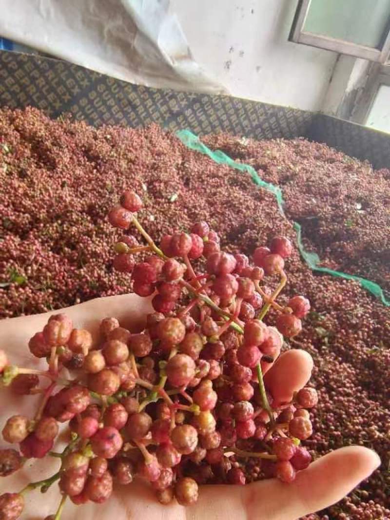 梅花椒，干椒，静椒，毛椒，现出炉。20元1斤包邮