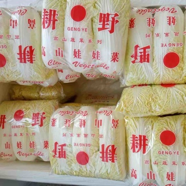 精品一级小黄娃