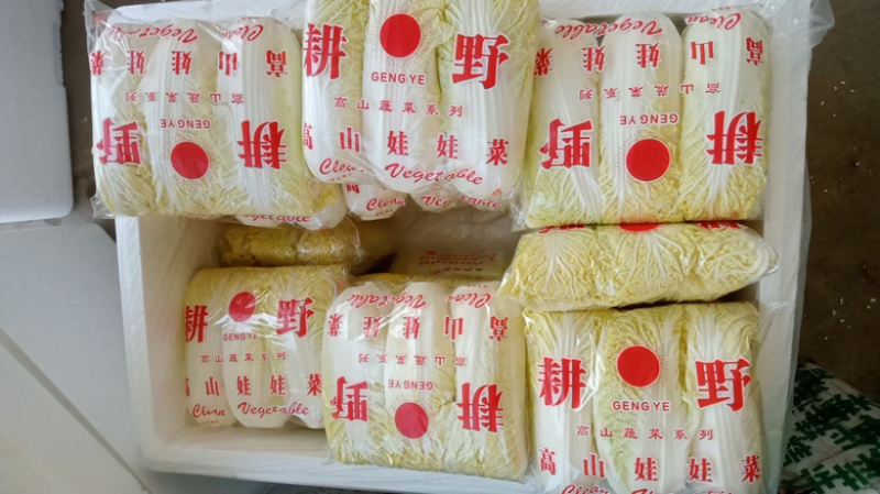 精品一级小黄娃